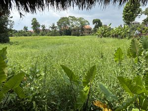   at Atman Nourish Kafe in Ubud