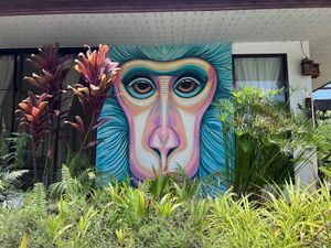 Outside yoga studio   at Wonderland Healing Center Vegan Buffet in Koh Phangan