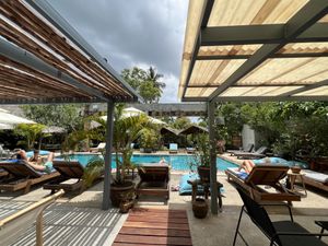 Pool   at Wonderland Healing Center Vegan Buffet in Koh Phangan