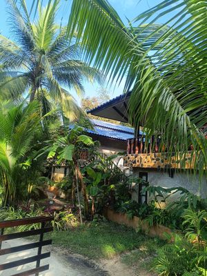Room at Wonderland Healing Center Vegan Buffet in Koh Phangan