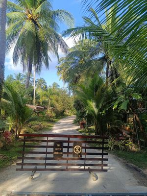  at Wonderland Healing Center Vegan Buffet in Koh Phangan