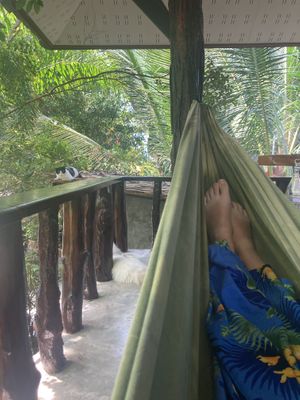   at Wonderland Healing Center Vegan Buffet in Koh Phangan
