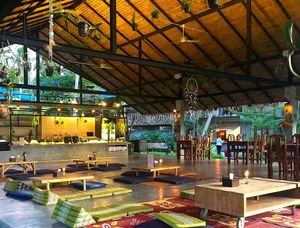 Buffet Lounge at Wonderland Healing Center Vegan Buffet in Koh Phangan