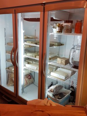 Cheese maturing at Barefood Bangkok in Bangkok