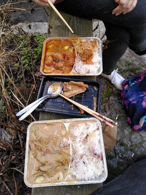 vegan duck and vegan curry, 04/21 at Chay Long in Berlin