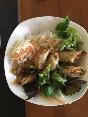 Fried spring rolls with salad at Chay Long in Berlin