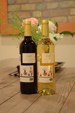 Bio wine at Oso-zai Cafe Vegebon in Tokyo