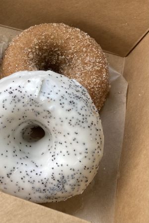Lemon poppyseed and cinnamon sugar doughnuts   at Bloom Bake Shop in Madison