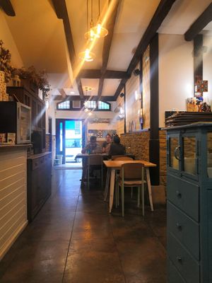 Local at Mapa Verde in San Sebastian