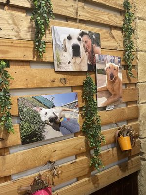   at Mapa Verde in San Sebastian