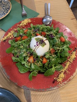 Burrata   at Mapa Verde in San Sebastian