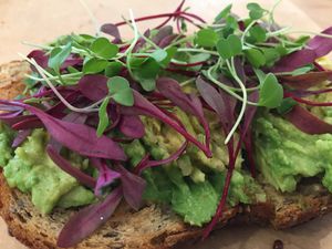 avocado toast. gluten-free or whole wheat and vegan at Twist Juice Bar in Rehoboth Beach