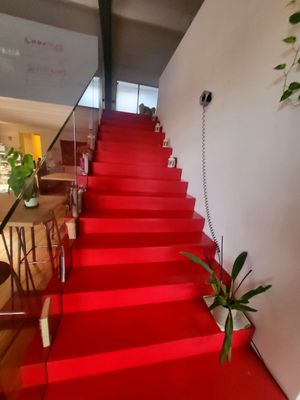 Interno at VgOloso in Venice