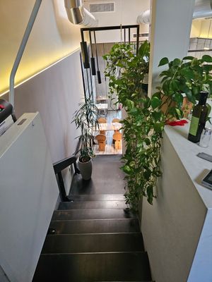 Plants~ at VgOloso in Venice