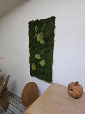  at VgOloso in Venice