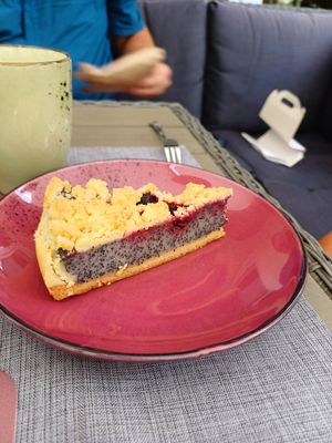  at Rosenberg in Potsdam