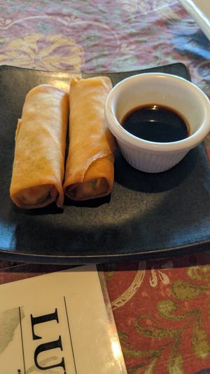 Spring rolls. at Tokyo in Chattanooga