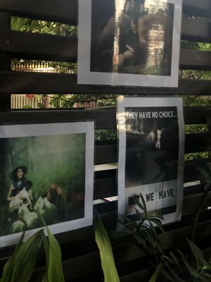 Front  at Rad Rabbit in Chiang Mai