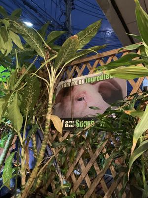 💚  at Rad Rabbit in Chiang Mai