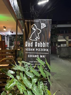   at Rad Rabbit in Chiang Mai