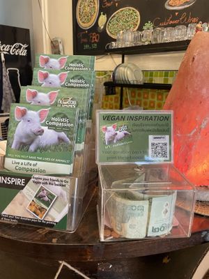   at Rad Rabbit in Chiang Mai