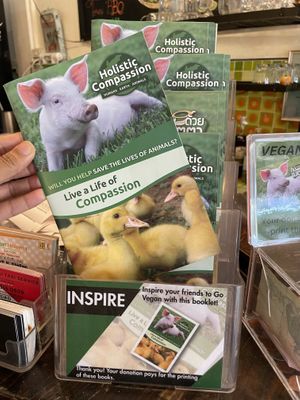   at Rad Rabbit in Chiang Mai