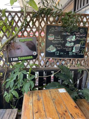   at Rad Rabbit in Chiang Mai