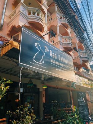   at Rad Rabbit in Chiang Mai