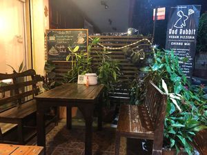   at Rad Rabbit in Chiang Mai