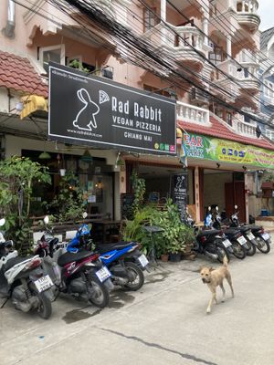 Entrance   at Rad Rabbit in Chiang Mai