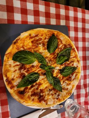  at Rad Rabbit in Chiang Mai