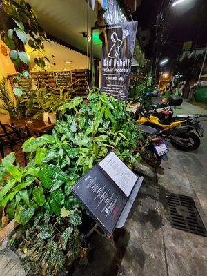  at Rad Rabbit in Chiang Mai