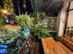  at Rad Rabbit in Chiang Mai