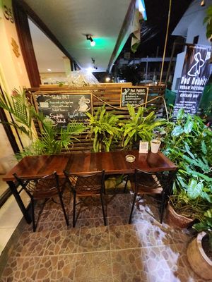  at Rad Rabbit in Chiang Mai