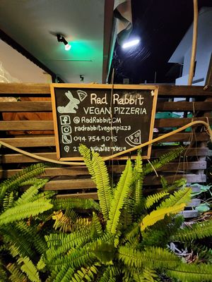  at Rad Rabbit in Chiang Mai