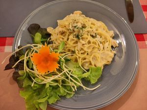  at Rad Rabbit in Chiang Mai