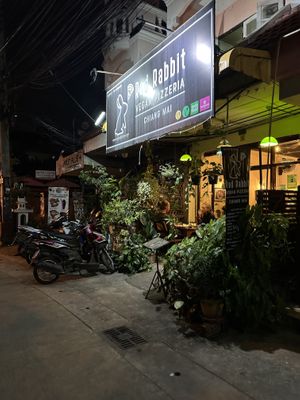   at Rad Rabbit in Chiang Mai