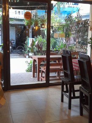  at Rad Rabbit in Chiang Mai