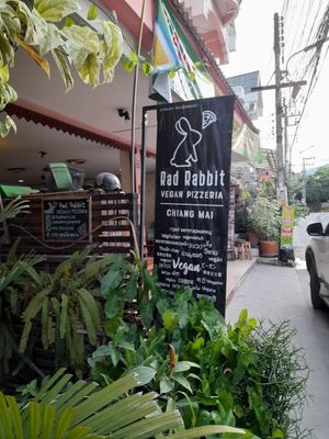  at Rad Rabbit in Chiang Mai
