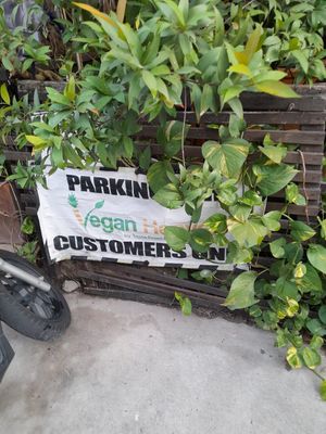  at Rad Rabbit in Chiang Mai