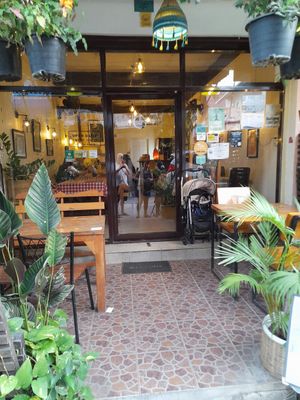  at Rad Rabbit in Chiang Mai