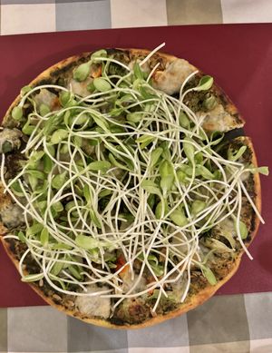   at Rad Rabbit in Chiang Mai