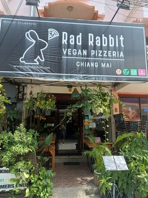  at Rad Rabbit in Chiang Mai