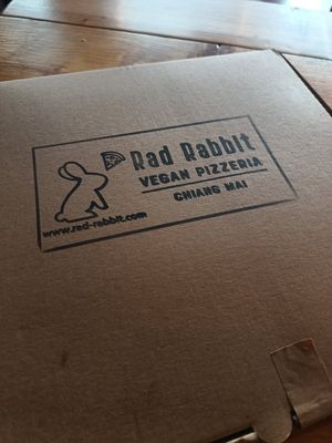  at Rad Rabbit in Chiang Mai