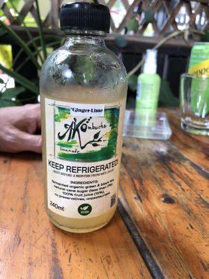 ginger lime kombucha   at Rad Rabbit in Chiang Mai