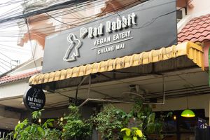  at Rad Rabbit in Chiang Mai