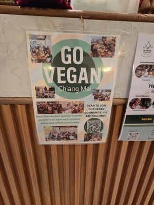  at Rad Rabbit in Chiang Mai