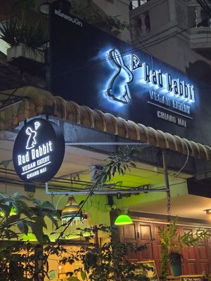  at Rad Rabbit in Chiang Mai