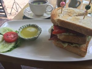 Club Sandwhich at Rad Rabbit in Chiang Mai