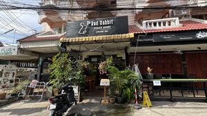   at Rad Rabbit in Chiang Mai